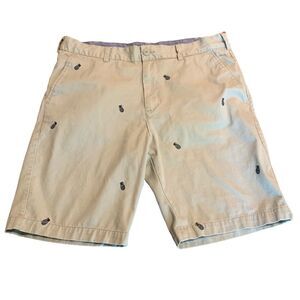 Islandia Clothing Co Khaki Shorts Pineapple 38 Men’s